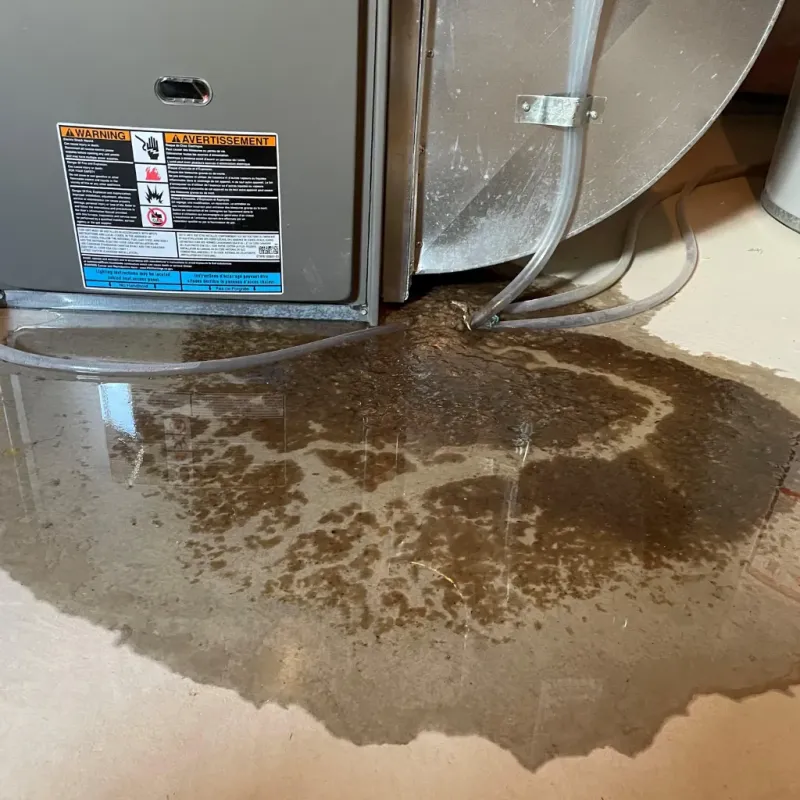 Appliance Leak Cleanup in Webb City, MO