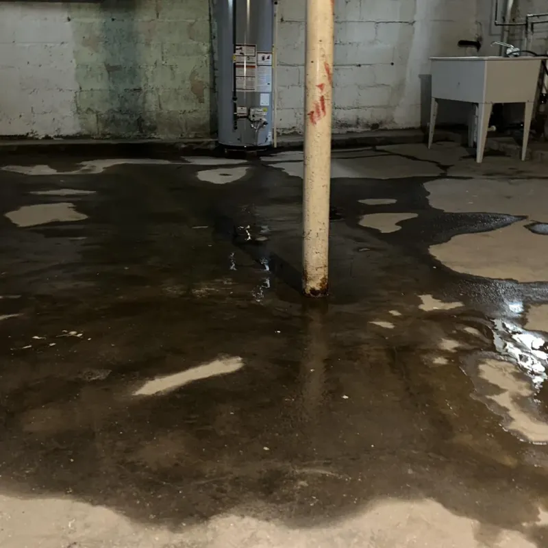Emergency Water Extraction And Removal in Webb City, MO